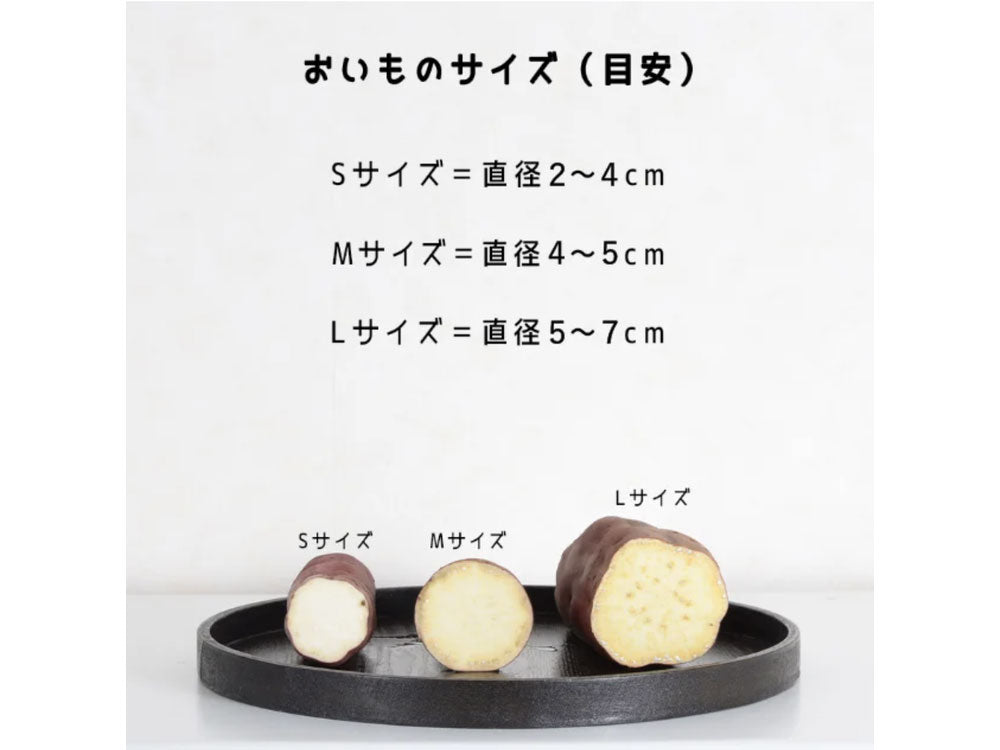 自宅で本格焼き芋 yakiimo baker UMAIIMO（ウマイーモ）