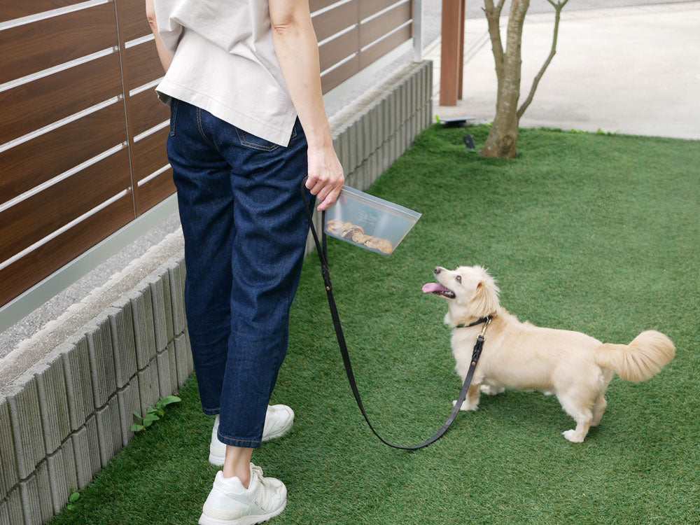 プラチナシリコーン製のZip Topジップトップディッシュをつけた犬が散歩中にリードを引っ張っている様子。耐熱220度、耐冷-30度に対応し、食洗機・電子レンジ使用可能なアメリカ製のペット用品