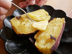 自宅で本格焼き芋 yakiimo baker UMAIIMO（ウマイーモ）
