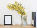 POSH LIVINGのソリッドフレームフラワーベース。真鍮とガラスを使用したシンプルでモダンなデザインの花瓶